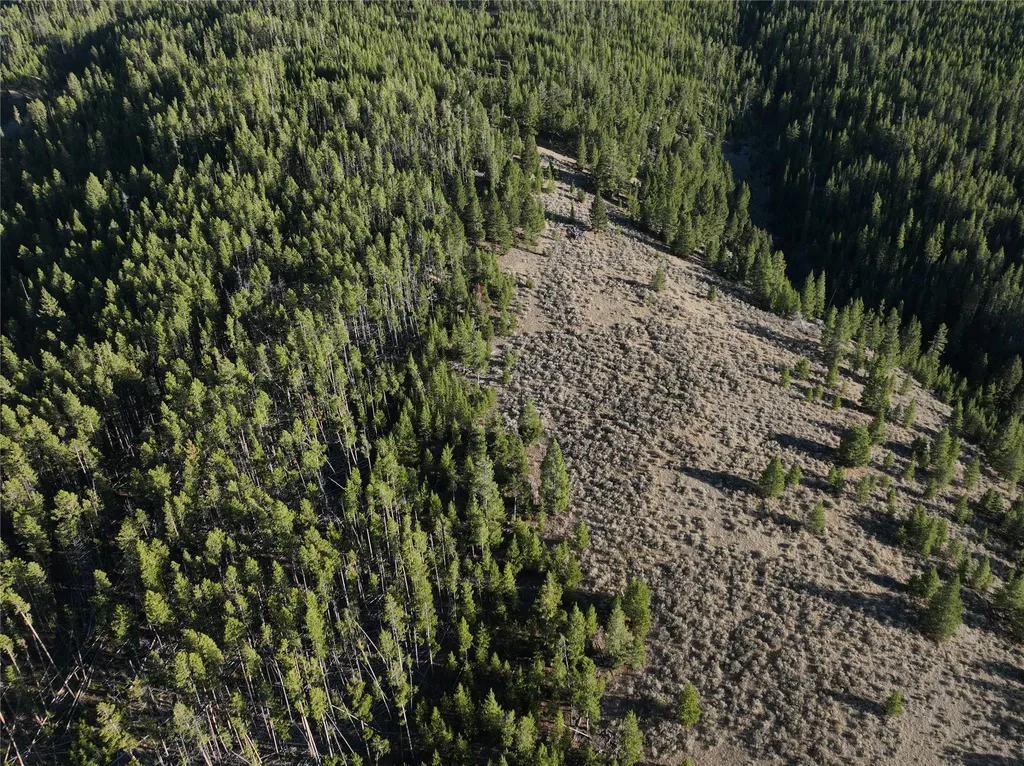 Lot 2 Ruby Mine Road Butte MT 59701