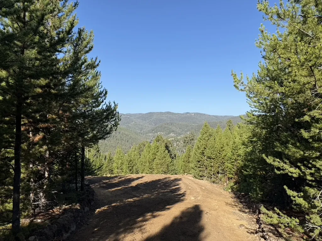 Lot 2 Ruby Mine Road Butte MT 59701