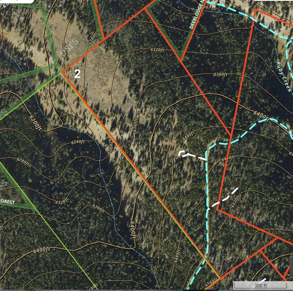 Lot 2 Ruby Mine Road Butte MT 59701