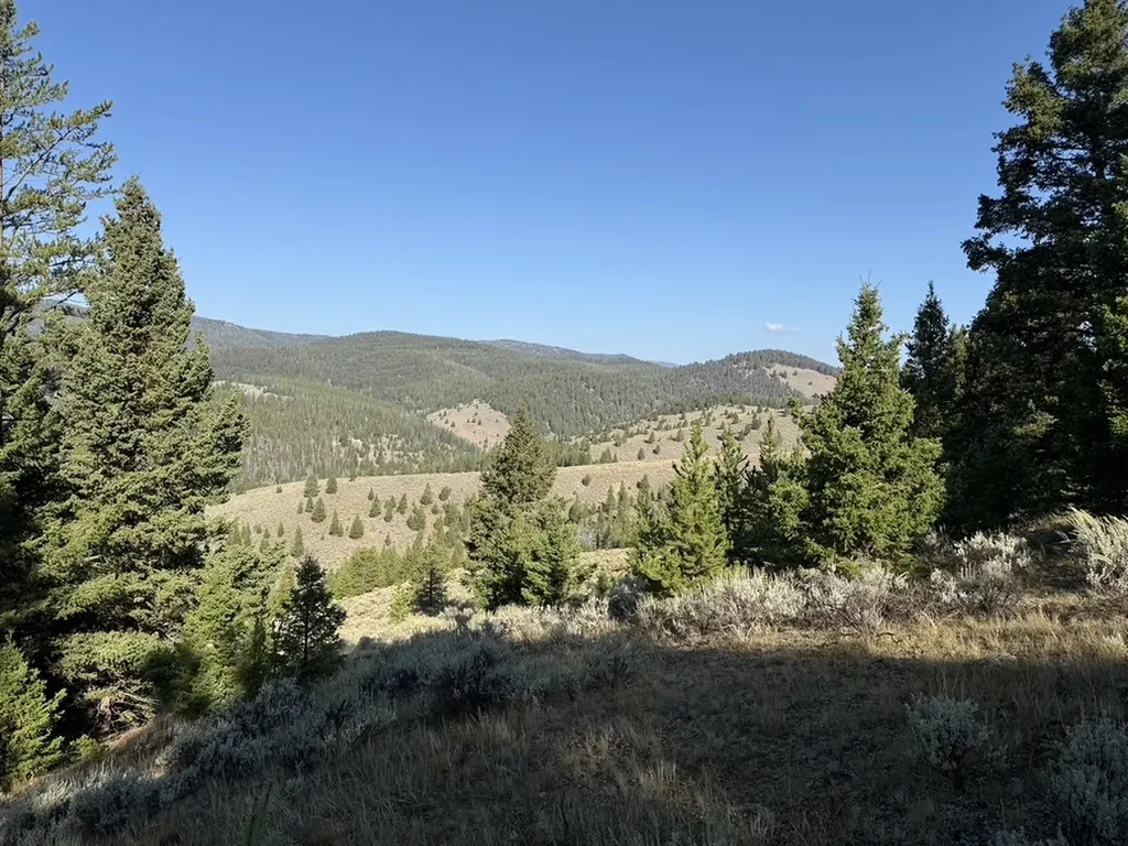 Lot 2 Ruby Mine Road Butte MT 59701