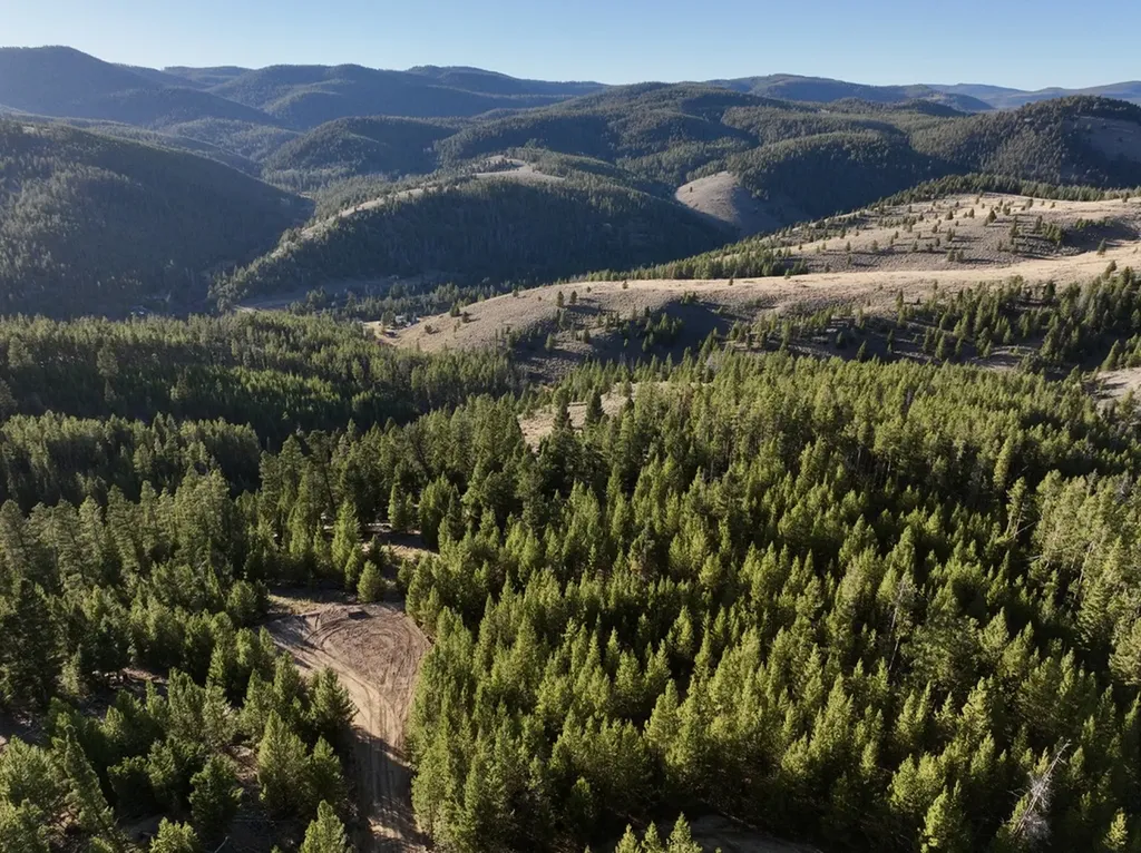 Lot 2 Ruby Mine Road Butte MT 59701