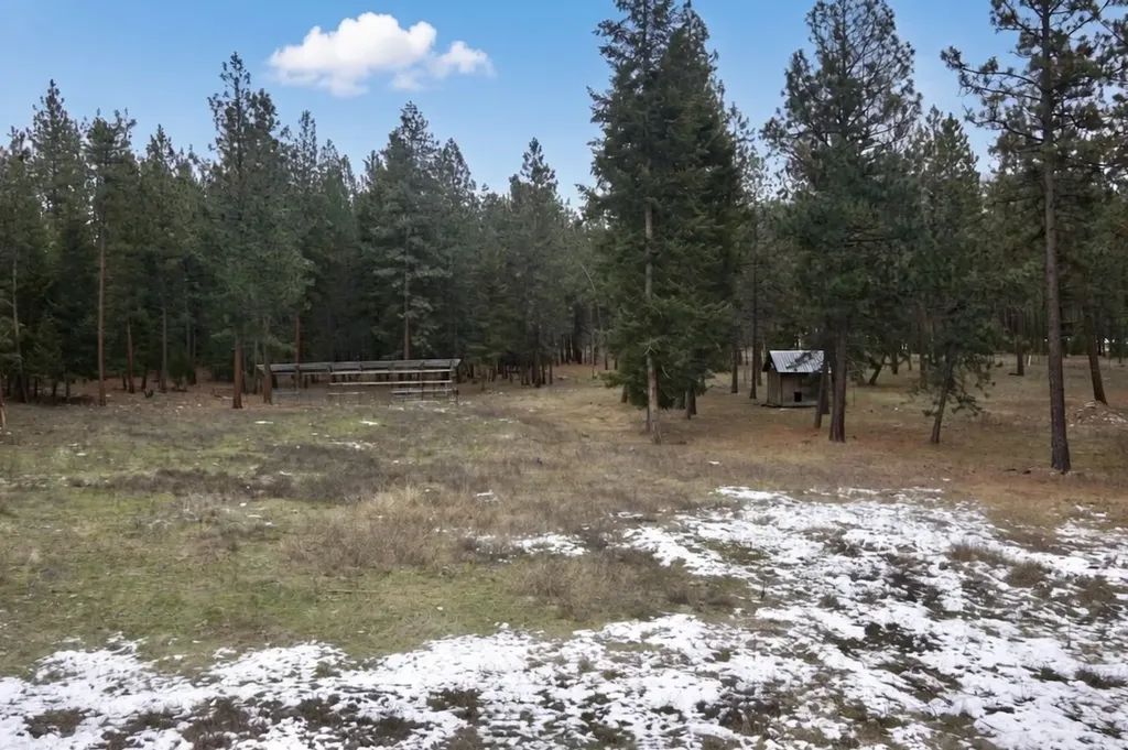 580 Upper Lynch Creek Road Plains MT 59859