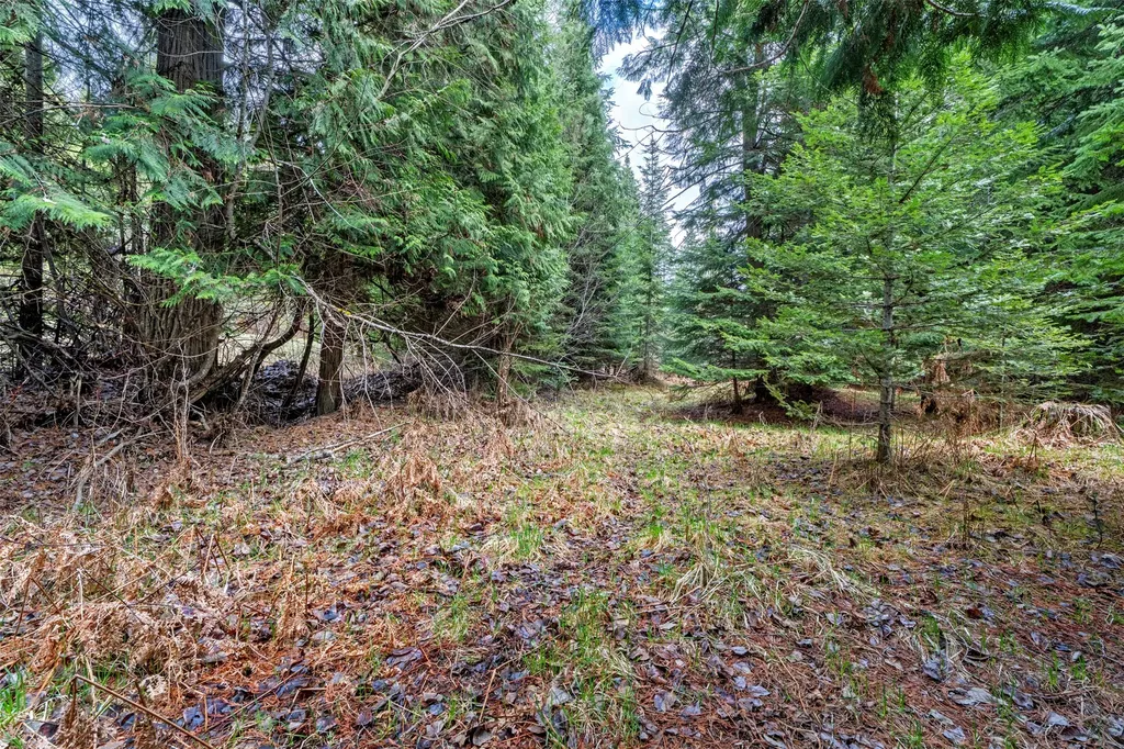 103 Little Joe Creek Road St Regis MT 59866