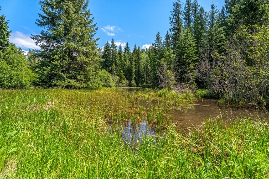 103 Little Joe Creek Road St Regis MT 59866