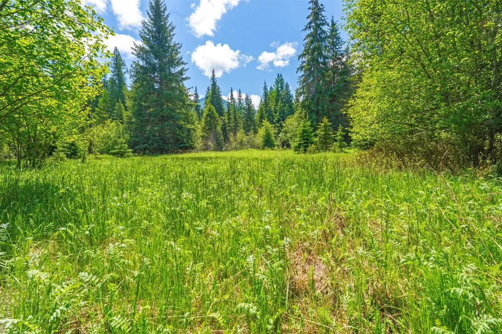 103 Little Joe Creek Road St Regis MT 59866