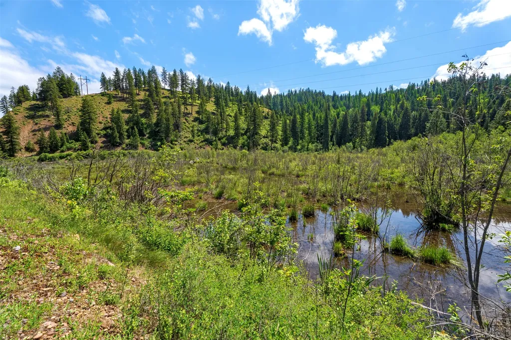 103 Little Joe Creek Road St Regis MT 59866