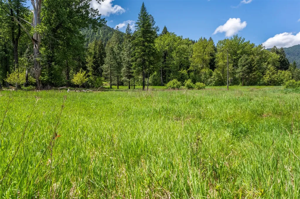 103 Little Joe Creek Road St Regis MT 59866