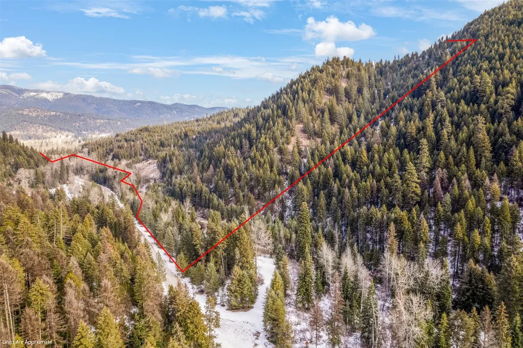 103 Little Joe Creek Road St Regis MT 59866