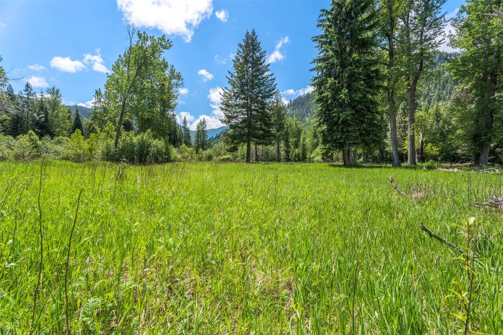 103 Little Joe Creek Road St Regis MT 59866