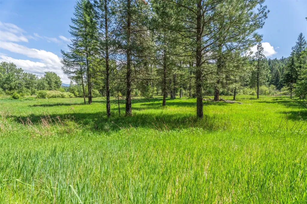 103 Little Joe Creek Road St Regis MT 59866