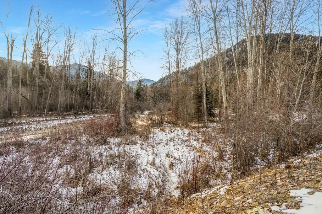 103 Little Joe Creek Road St Regis MT 59866