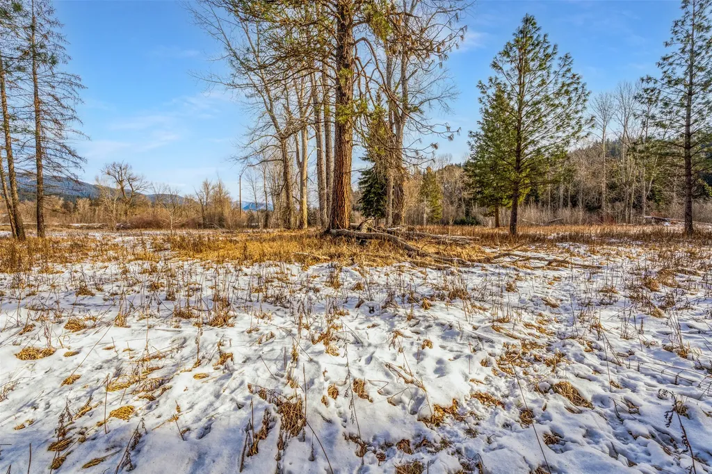 103 Little Joe Creek Road St Regis MT 59866