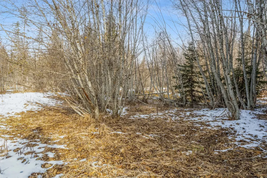 103 Little Joe Creek Road St Regis MT 59866