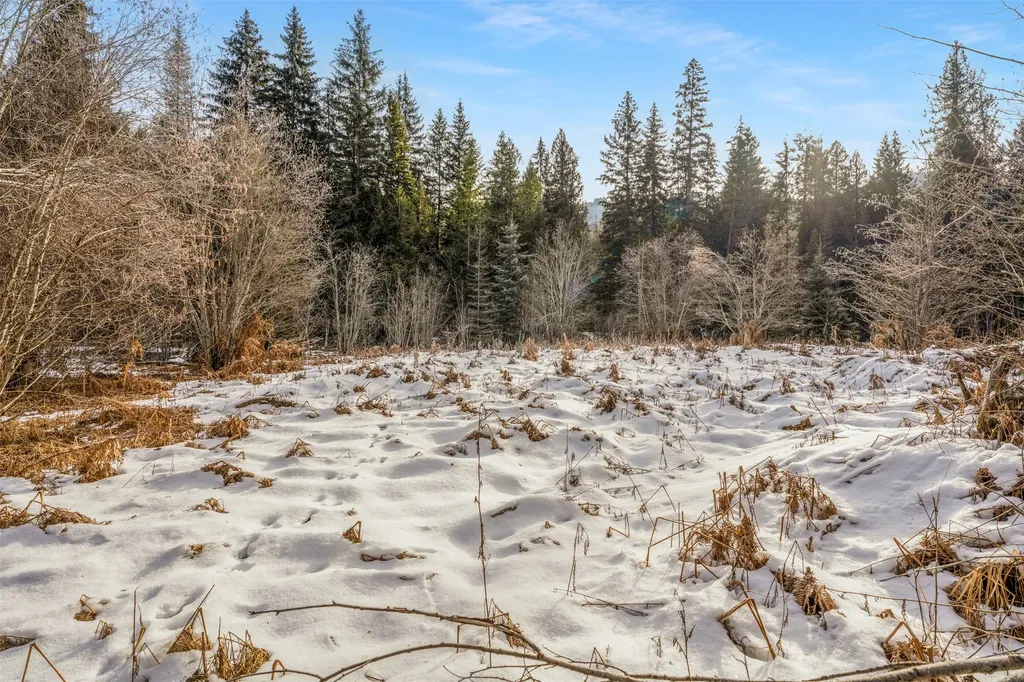 103 Little Joe Creek Road St Regis MT 59866