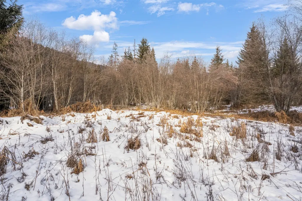 103 Little Joe Creek Road St Regis MT 59866