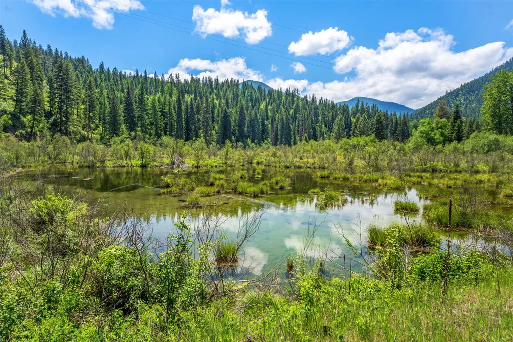 103 Little Joe Creek Road St Regis MT 59866
