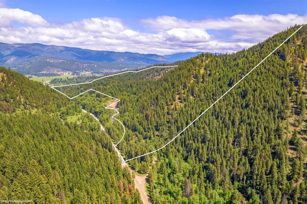 103 Little Joe Creek Road St Regis MT 59866