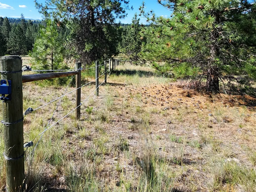 5282 Otto Way Florence MT 59833