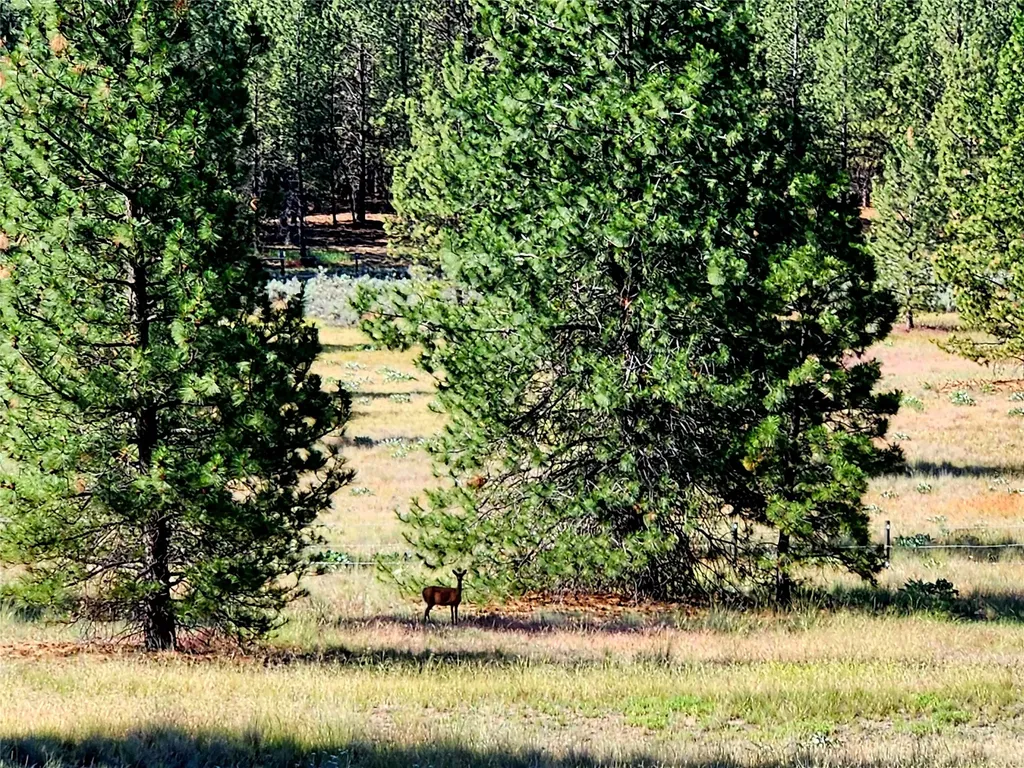 5282 Otto Way Florence MT 59833