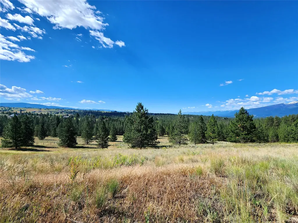 5282 Otto Way Florence MT 59833