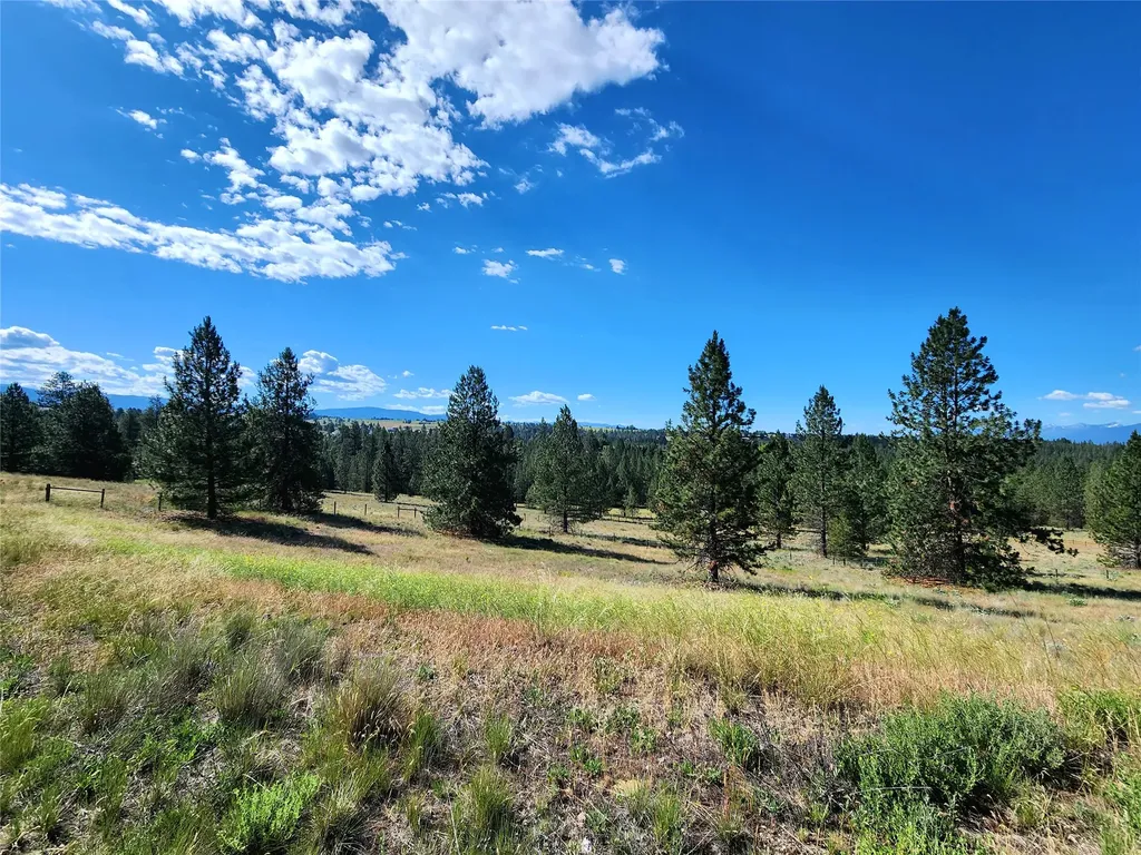 5282 Otto Way Florence MT 59833