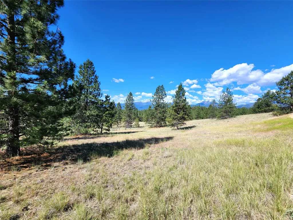 5282 Otto Way Florence MT 59833