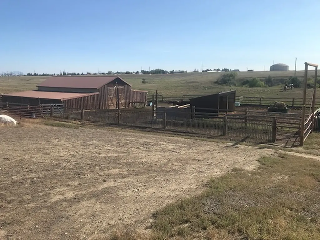 1323 13th Street S Shelby MT 59474
