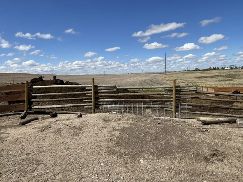 1323 13th Street S Shelby MT 59474