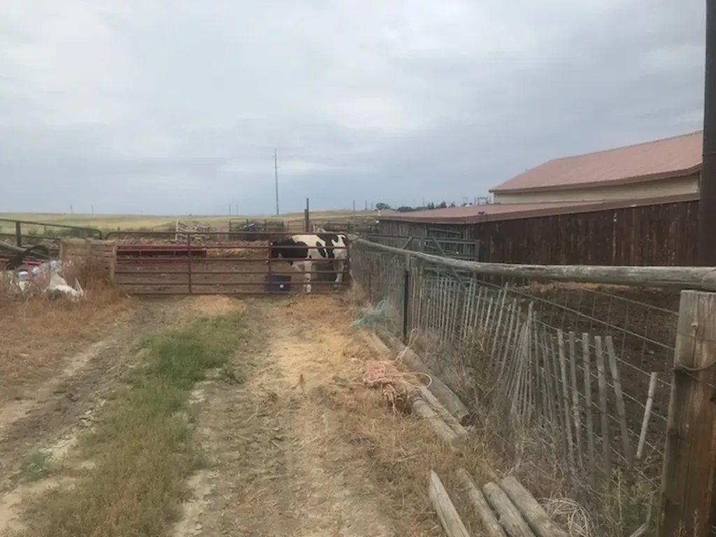 1323 13th Street S Shelby MT 59474