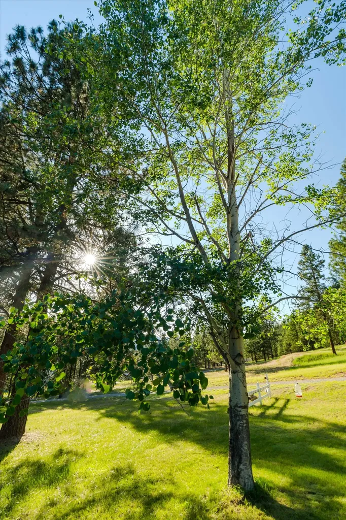 1720 River Road Troy MT 59935