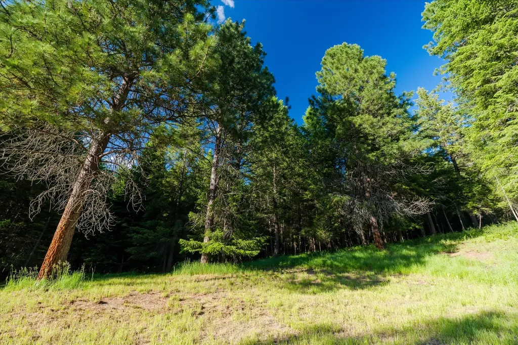 1720 River Road Troy MT 59935