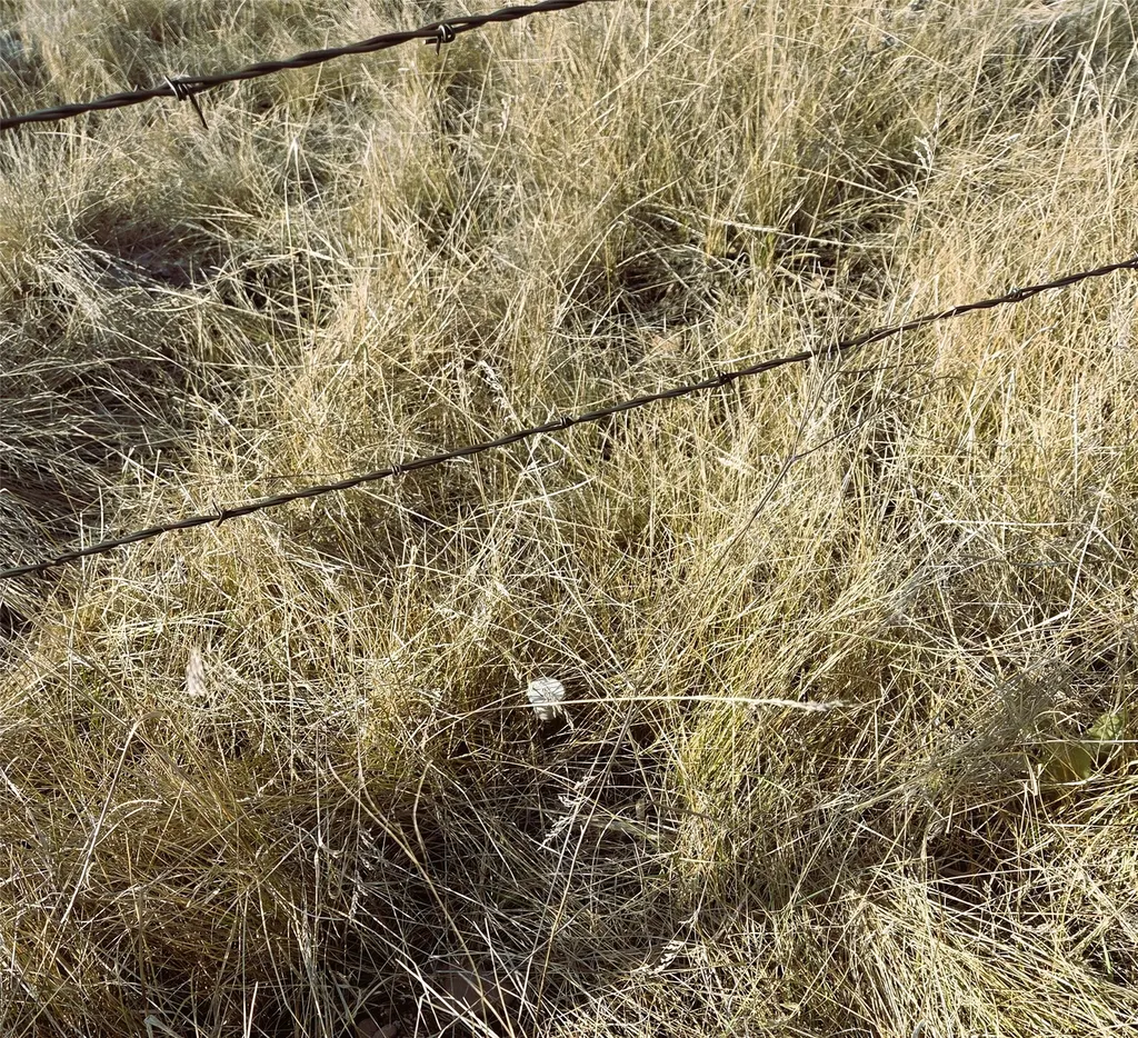 Nhn Stacy Drive Eureka MT 59917