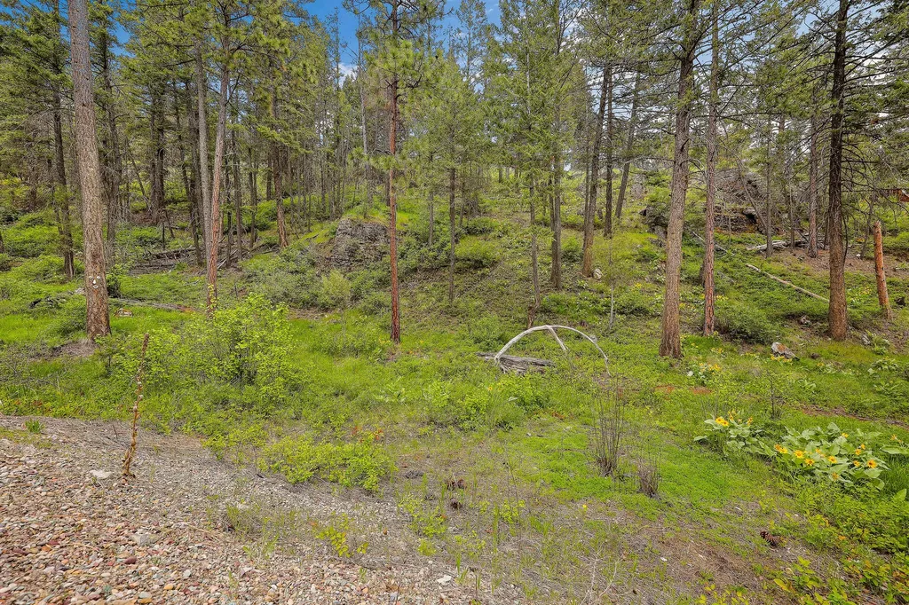 103 Tamarack Woods Drive Lakeside MT 59922