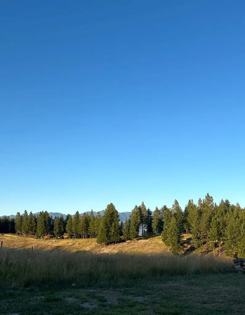 Nhn Border Lane Rexford MT 59930