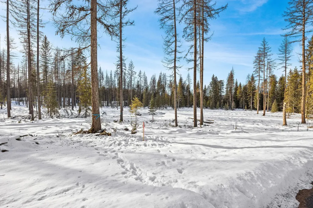 1327 Whitefish Ridge Road Whitefish MT 59937