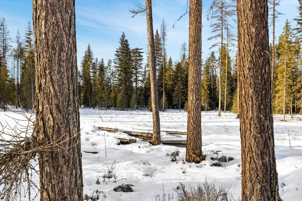 1327 Whitefish Ridge Road Whitefish MT 59937