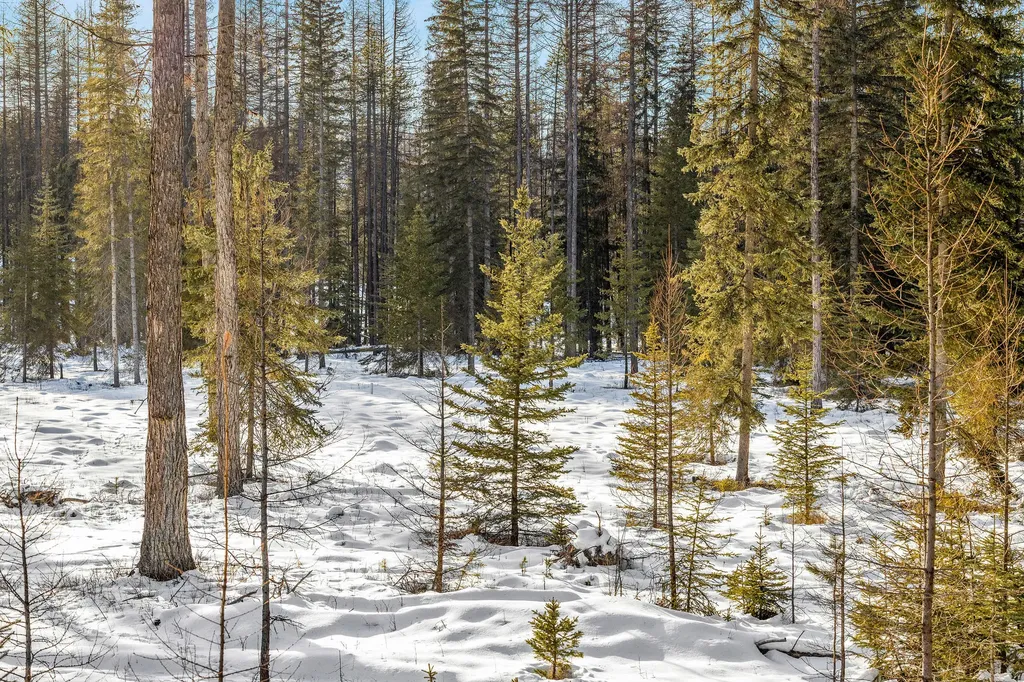 1327 Whitefish Ridge Road Whitefish MT 59937