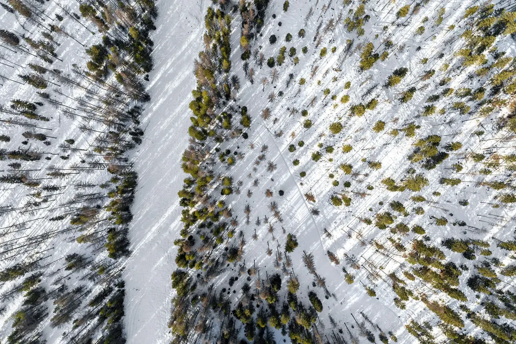 1327 Whitefish Ridge Road Whitefish MT 59937