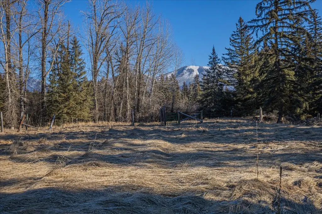 169 Meadow Creek Road Fortine MT 59918