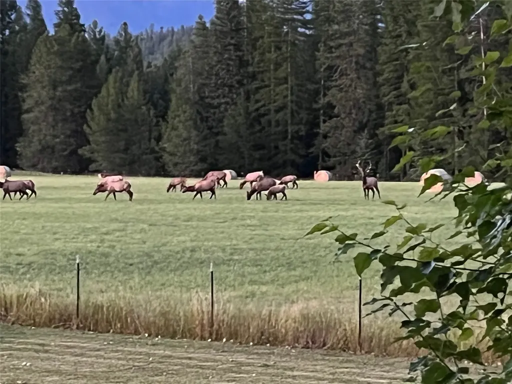 7277 Farm To Market Road Whitefish MT 59937