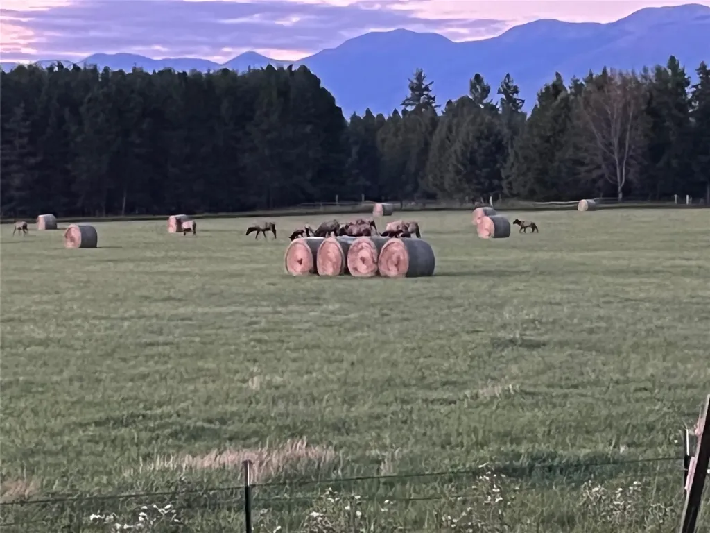 7277 Farm To Market Road Whitefish MT 59937
