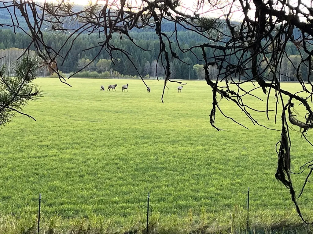 7277 Farm To Market Road Whitefish MT 59937