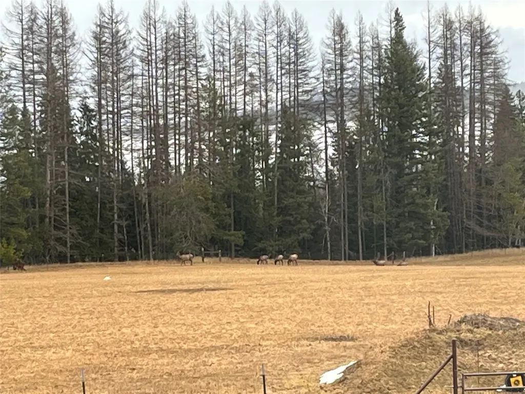 7277 Farm To Market Road Whitefish MT 59937