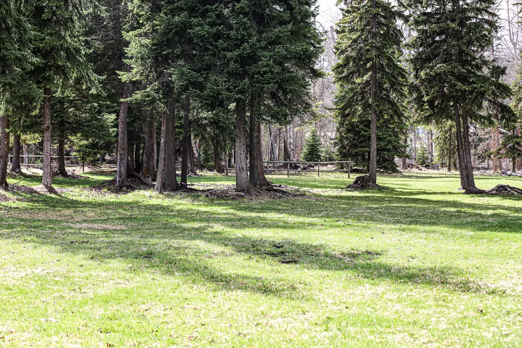 194 Mcmannamy Way Kalispell MT 59901