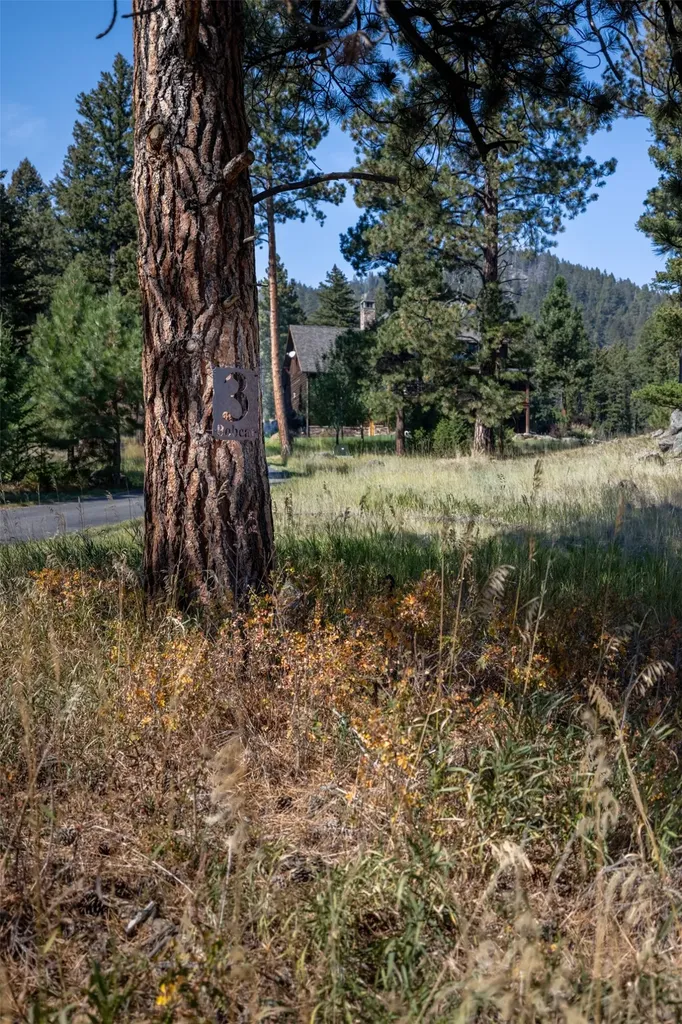 3 Bobcat Court Clancy MT 59634