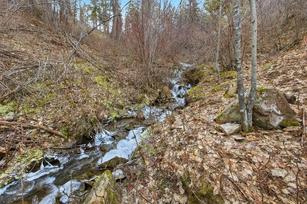 469 Owings Loop Hamilton MT 59840