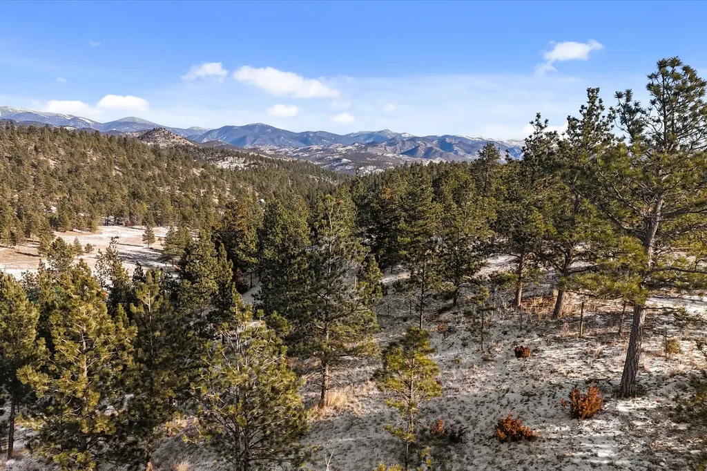 6635 Antler Way Helena MT 59602