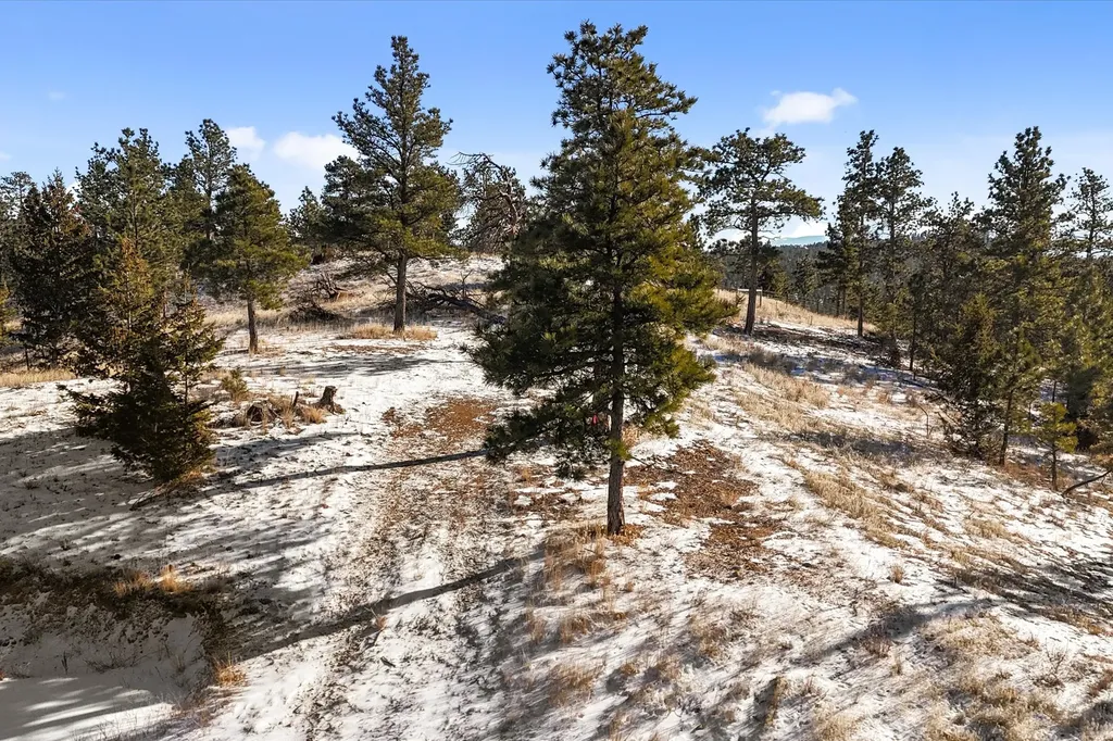 6635 Antler Way Helena MT 59602