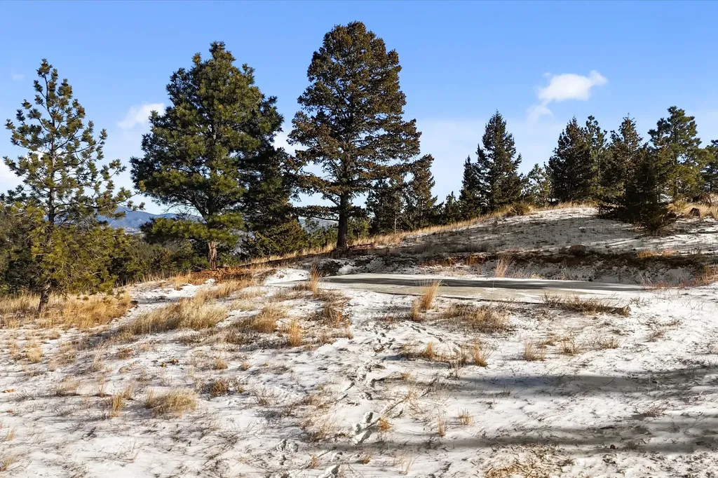 6635 Antler Way Helena MT 59602
