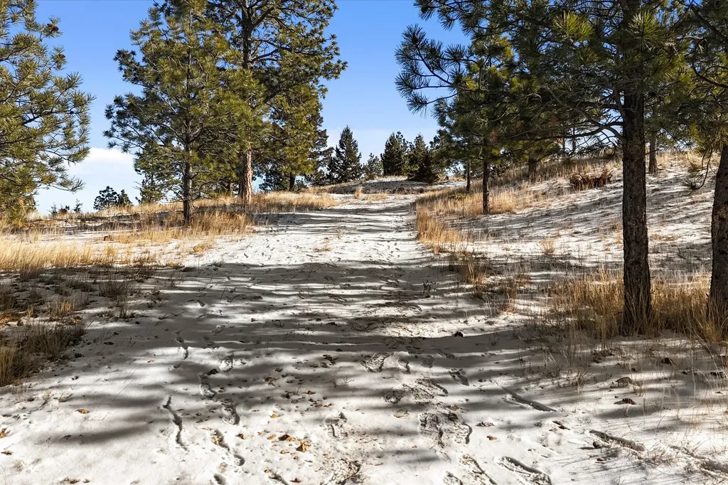 6635 Antler Way Helena MT 59602
